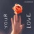 YOUR LOVE