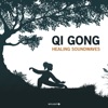 Qi Gong Healing Soundwaves