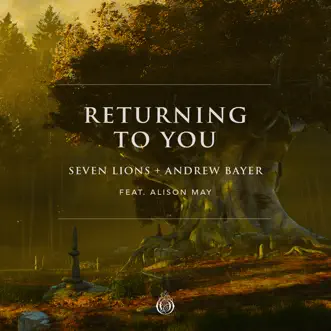 Returning to You (feat. Alison May) - Single by Seven Lions & Andrew Bayer album reviews, ratings, credits