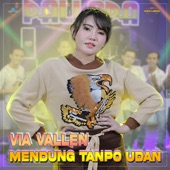 Mendung Tanpo Udan (feat. Via Vallen) artwork