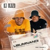 J-Ubumnandi (Asiphuzi Ndawonye) [feat. Themba J] - Single
