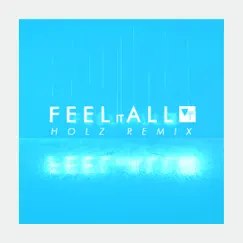 Feel It All (Holz Remix) Song Lyrics