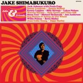 ジェイク・シマブクロ (Jake Shimabukuro) - Smokin' Strings