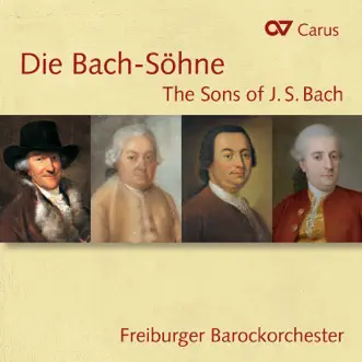 Flute Concerto in D Major, W.c 79: I. Allegro con brio by Freiburger BarockConsort, Gottfried von der Goltz & Karl Kaiser song reviws