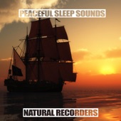 Pirate Ship Ambience: Seagull Sounds for Dream artwork