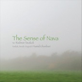 The Sense of Nava artwork