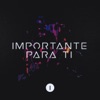 Importante para Ti - Single