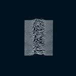 Joy Division - I Remember Nothing (2019 Master)