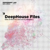 Deephouse Files (Edits & Remixes Selected by Mousse T.), 2013