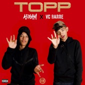 TOPP artwork