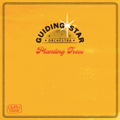 Planting Trees - Guiding Star Orchestra