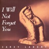 I Will Not Forget You, 1996