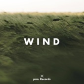 Wind artwork