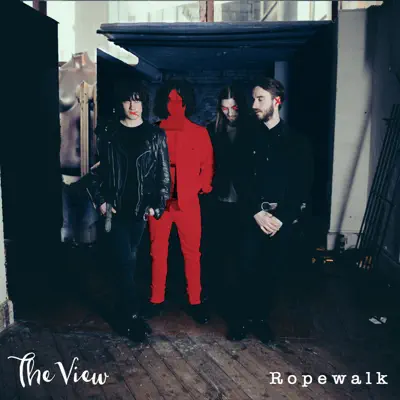 Cracks - Single - The View