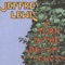 From Draz - Jeffrey Lewis lyrics