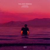 Tidal Wave (feat. Bien Et Toi) [Stephan Jolk Remix] artwork