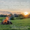 Warmer - Single