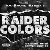 Raider Colors (feat. Dj Nina 9 & Rayven Justice) artwork