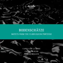 Bodenschätze (Motetten aus dem 17. Jahrhundert) by Capella de la Torre, Florian Helgath & Chorwerk Ruhr album reviews, ratings, credits