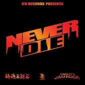 Never Die (feat. MIGHTY JAM ROCK) artwork