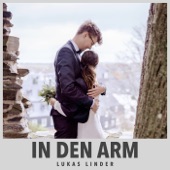 In den Arm artwork