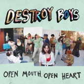 Destroy Boys - Cherry Garcia