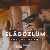 Turgut Uyar - Ölüme Dair Konuşmalar artwork
