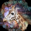 Random Noise artwork