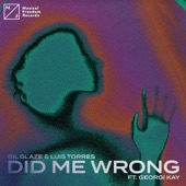 Did Me Wrong (feat. Georgi Kay) artwork