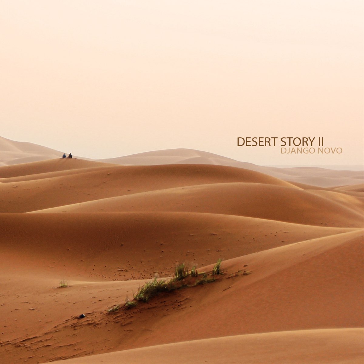 <b>Desert</b> Story II - Single by Django Novo.