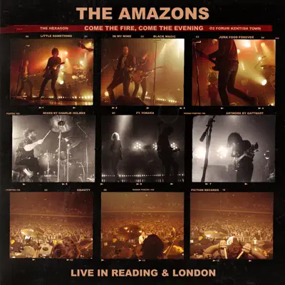 Come the Fire, Come the Evening (Live) - The Amazons