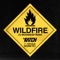 Wildfire (feat. Ce'Cile & Shane Eli) [DJ BrainDeaD Remix] artwork