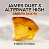 Stream & download Amber Room - Single