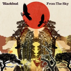 FROM THE SKY cover art