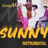 Sunny (Instrumental) - Single, 1976