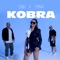 Kobra (feat. Mina Blazev) - DNK lyrics