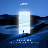 Daljina (feat. Napo) artwork