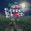 Street Shots, Vol. 12 (Harvest Moon Edition)