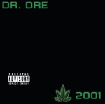 What's the Difference (feat. Eminem & Xzibit) by Dr. Dre