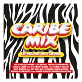 Caribe Mix 2013 (Megamix) artwork