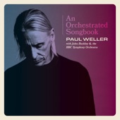 Paul Weller - Broken Stones