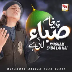 Paigham Saba Lai Hai - Single by Muhammad Hassan Raza Qadri album reviews, ratings, credits