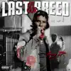 Last of Our Breed album lyrics, reviews, download