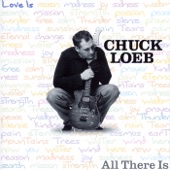 Chuck Loeb - In the Hands