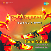 Various Artists - Tumi Nacho artwork