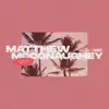 Matthew Mcconaughey (La Felix Remix) - Single album lyrics, reviews, download
