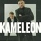 Kameleon artwork