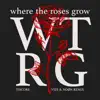 Where The Roses Grow (VIZE & NOØN Remix) - Single album lyrics, reviews, download