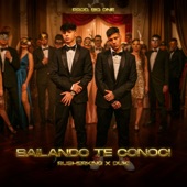 Bailando Te Conocí artwork