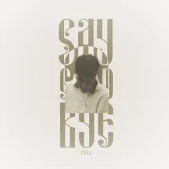 Say Goodbye - Single by Rellmakesmusic album reviews, ratings, credits